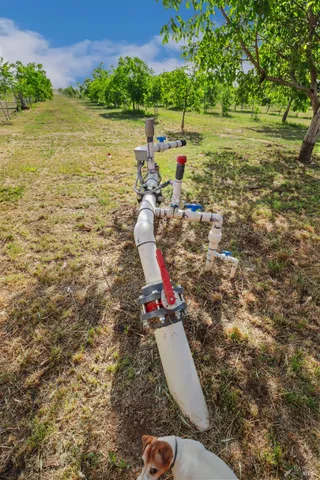 $2,999,999 | 9192 Boyce Road, Winters, CA 95694