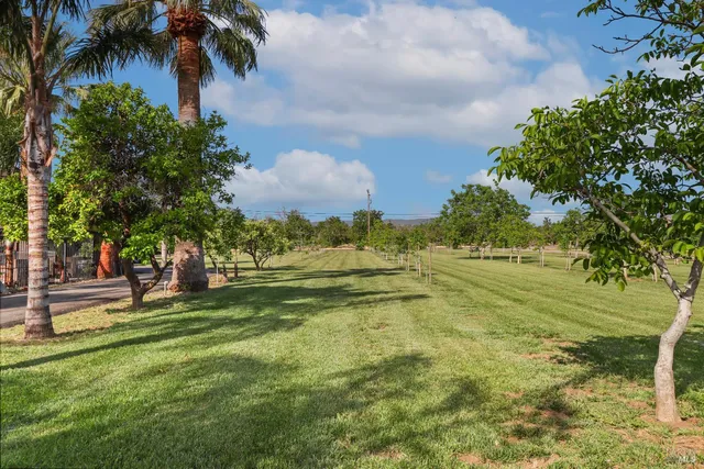 $2,999,999 | 9192 Boyce Road, Winters, CA 95694