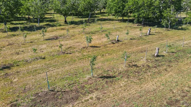 $2,999,999 | 9192 Boyce Road, Winters, CA 95694