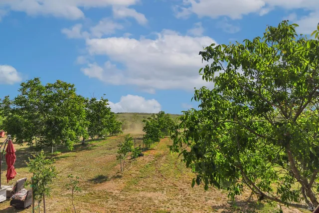 $2,999,999 | 9192 Boyce Road, Winters, CA 95694