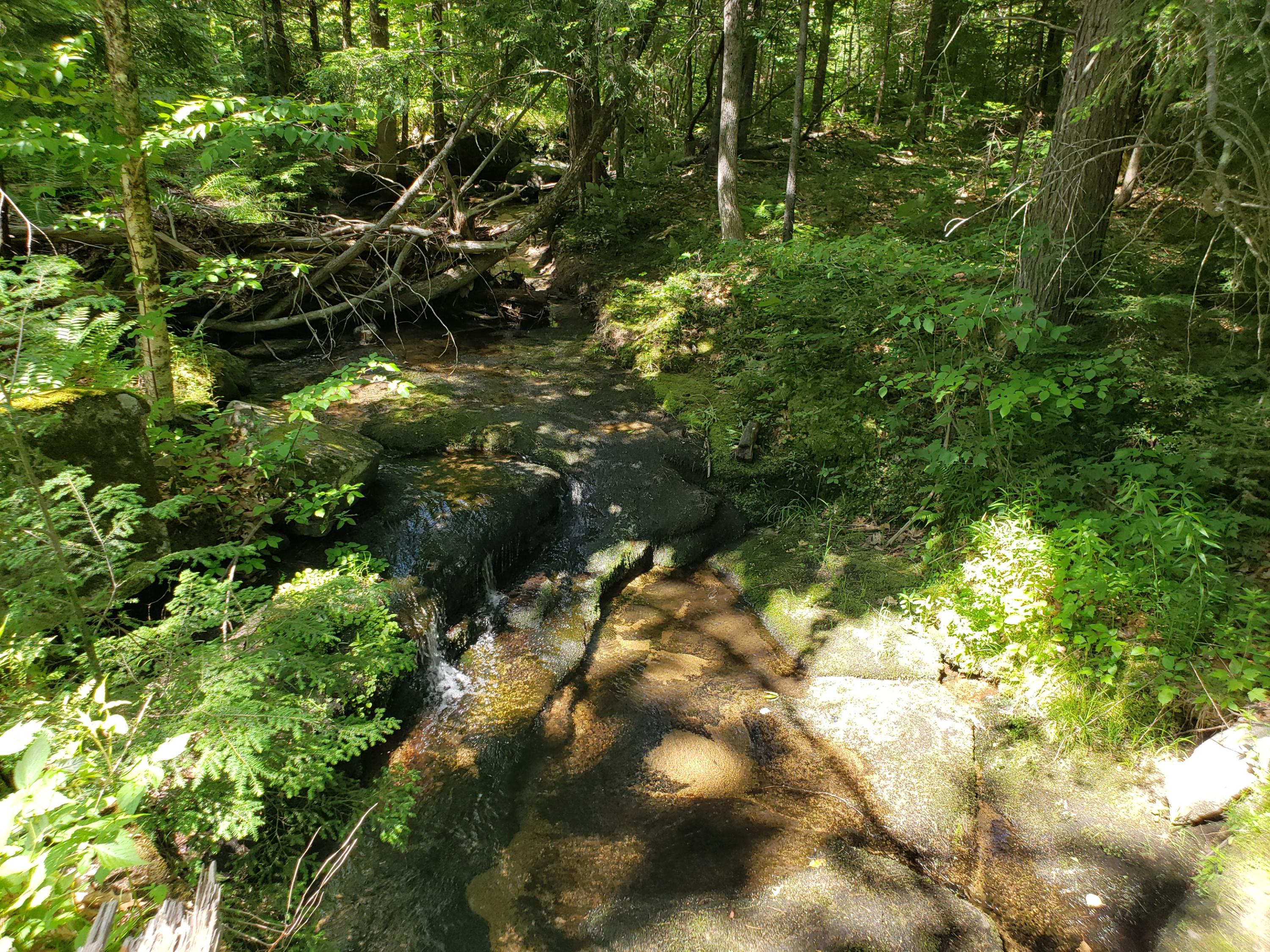 0 Valley Road Waterford, ME 04088 - Photo 9 of 13 Kedarbrook