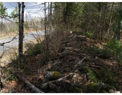 265 Hole In The Wall Road Solon, ME 04979 - Photo 20 of 23 Land. A stone wall runs the length...