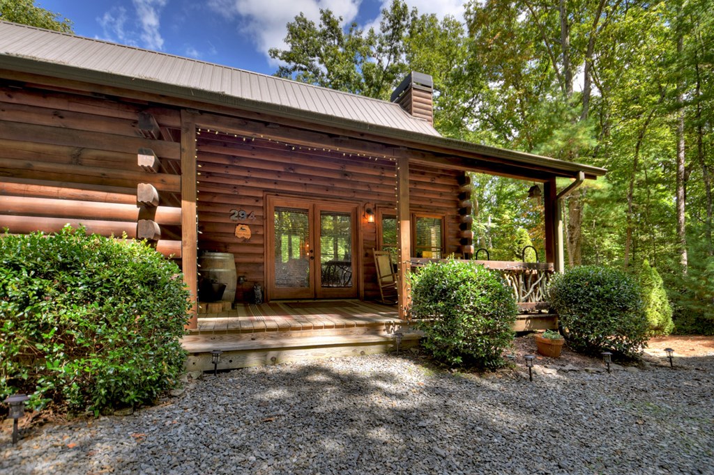 294 Icy Lane Blue Ridge, GA 30513 - Photo 3 of 41 Gallery Image 3