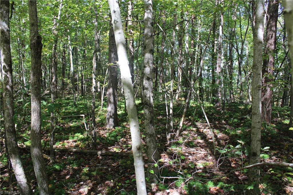 0 Farm Road, Unit 8 22 Pilot Mountain, NC 27041 - Photo 11 of 14 Gallery Image 11