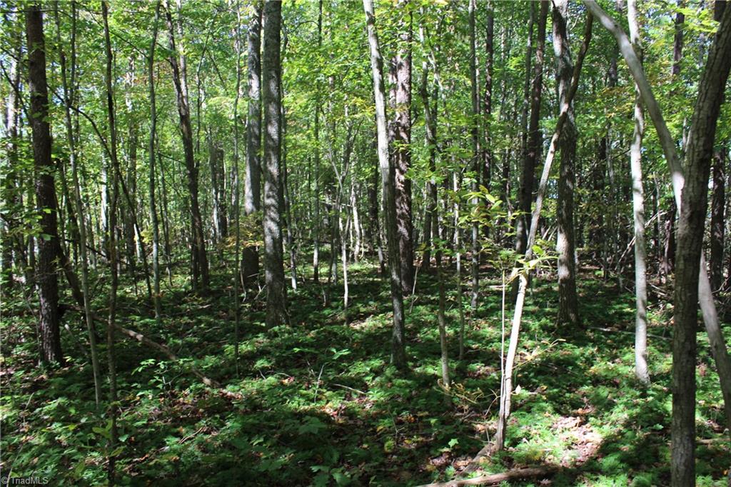 0 Farm Road, Unit 8 22 Pilot Mountain, NC 27041 - Photo 12 of 14 Gallery Image 12