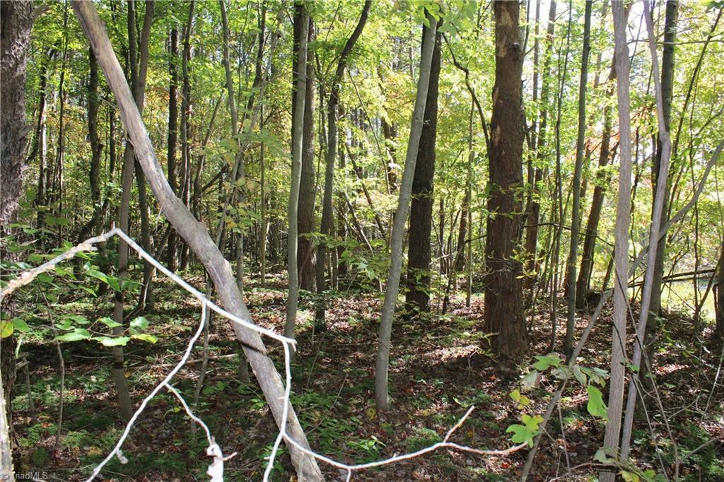 0 Farm Road, Unit 8 22 Pilot Mountain, NC 27041 - Photo 13 of 14 Gallery Image 13