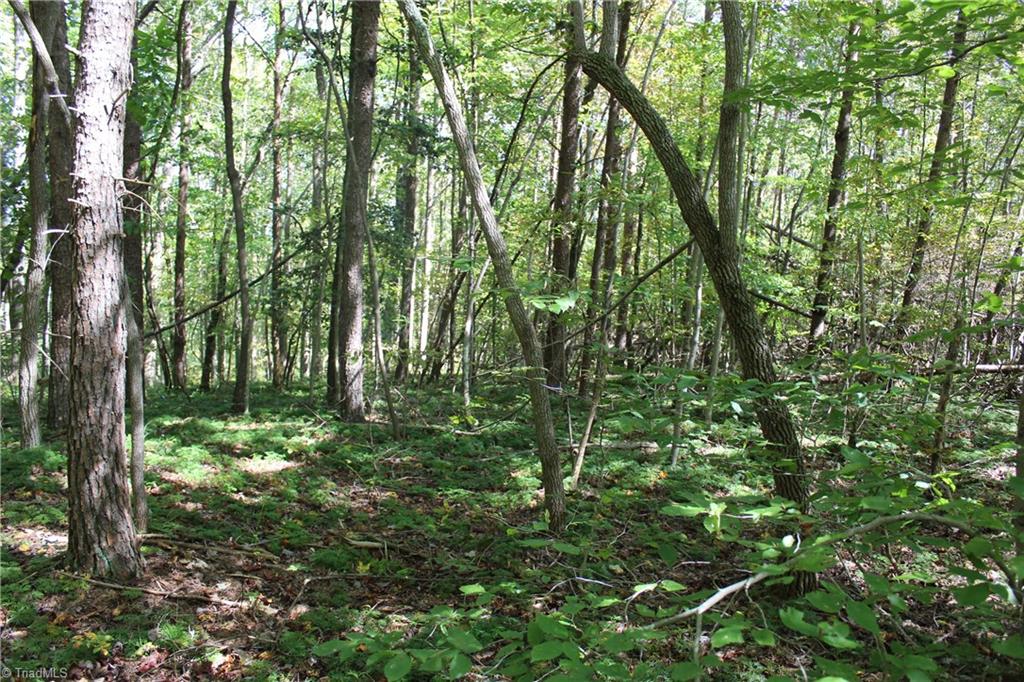 0 Farm Road, Unit 8 22 Pilot Mountain, NC 27041 - Photo 14 of 14 Gallery Image 14