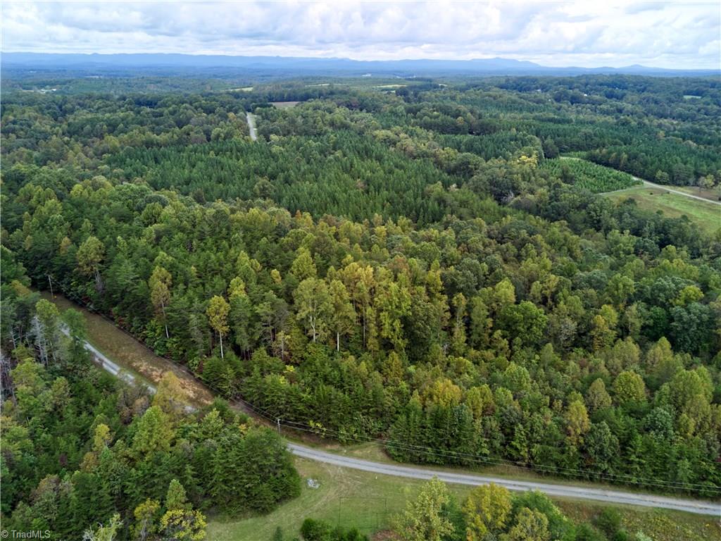 0 Farm Road, Unit 8 22 Pilot Mountain, NC 27041 - Photo 3 of 14 Gallery Image 3