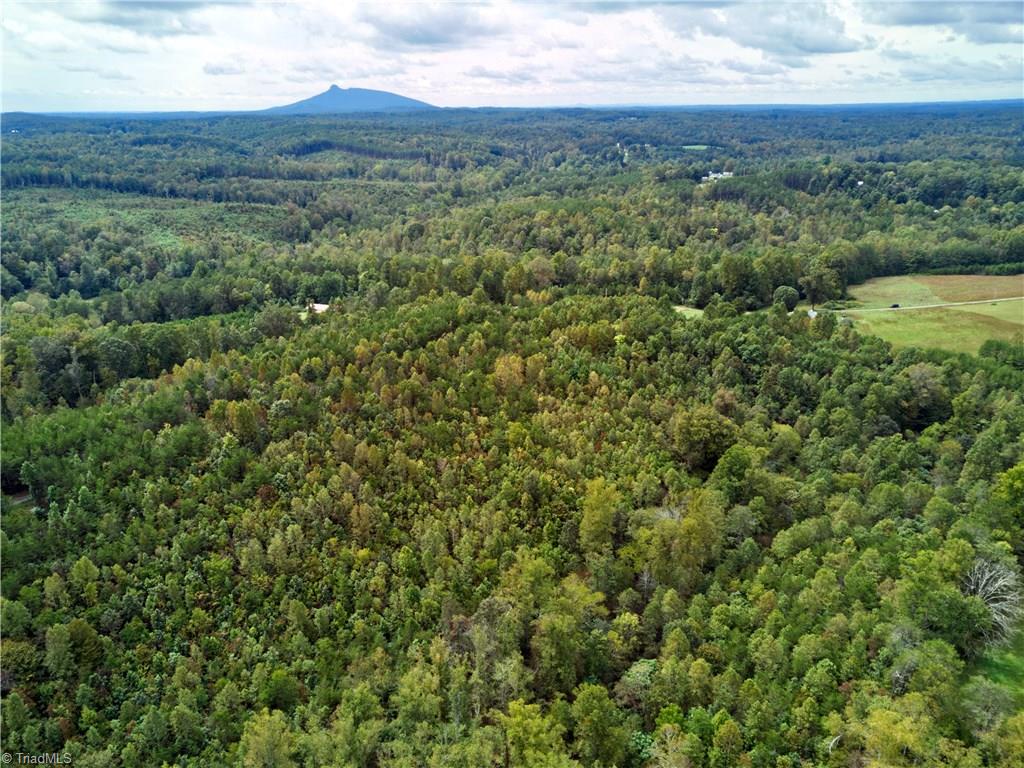 0 Farm Road, Unit 8 22 Pilot Mountain, NC 27041 - Photo 4 of 14 Gallery Image 4