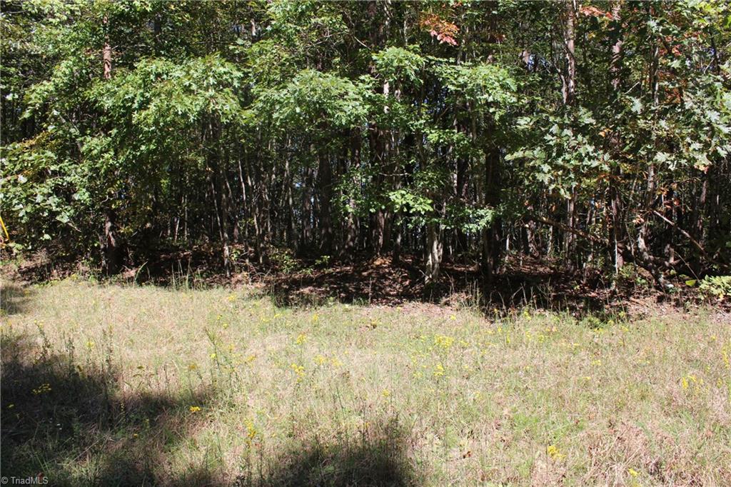 0 Farm Road, Unit 8 22 Pilot Mountain, NC 27041 - Photo 6 of 14 Gallery Image 6