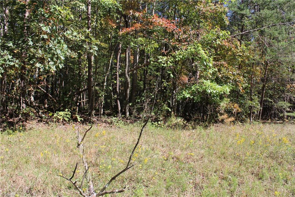 0 Farm Road, Unit 8 22 Pilot Mountain, NC 27041 - Photo 7 of 14 Gallery Image 7