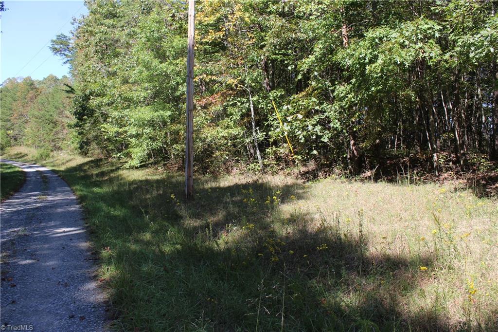 0 Farm Road, Unit 8 22 Pilot Mountain, NC 27041 - Photo 8 of 14 Gallery Image 8