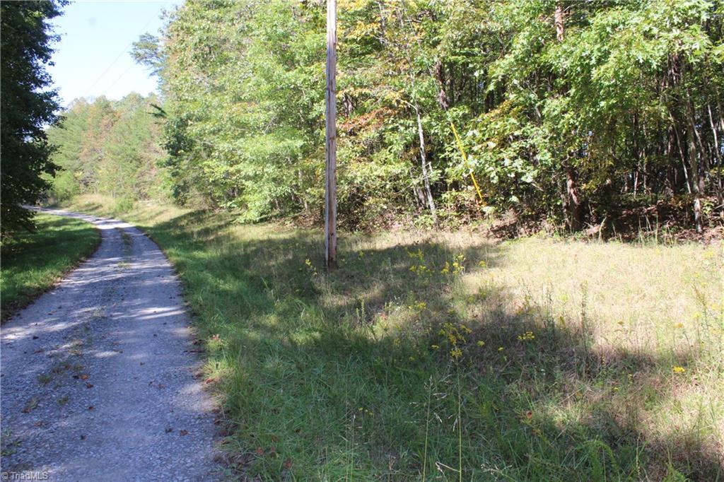 0 Farm Road, Unit 8 22 Pilot Mountain, NC 27041 - Photo 9 of 14 Gallery Image 9