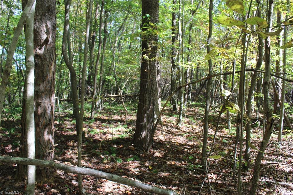 0 Farm Road, Unit 8 22 Pilot Mountain, NC 27041 - Photo 10 of 14 Gallery Image 10