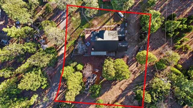 a picture of flowers