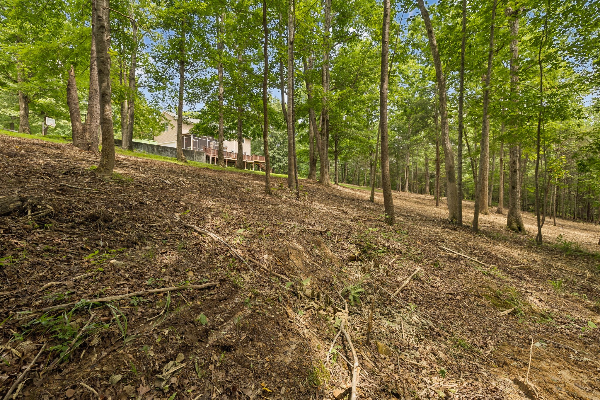7555 County Line Road White Bluff, TN 37187 - Photo 77 of 89