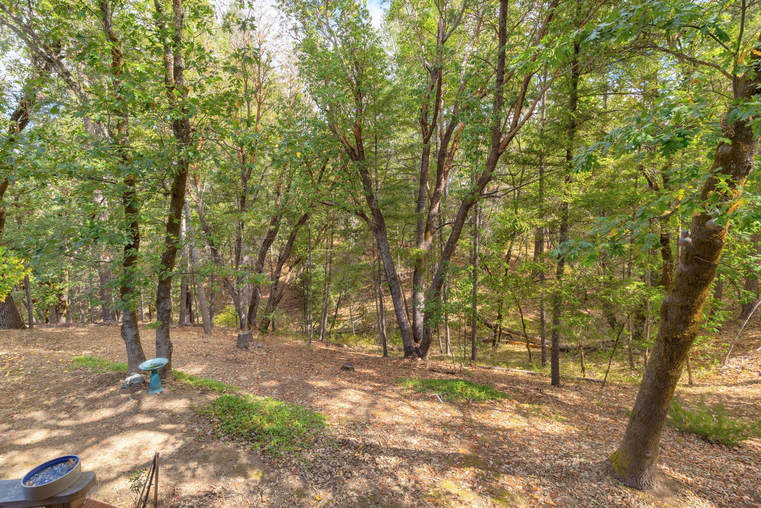 539 Highland Ranch Road Grants Pass, OR 97526 - Photo 18 of 41 0r1a8792_3_4_5_6_1