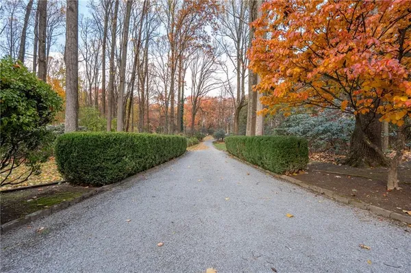 a view of a backyard with potted plants and large trees