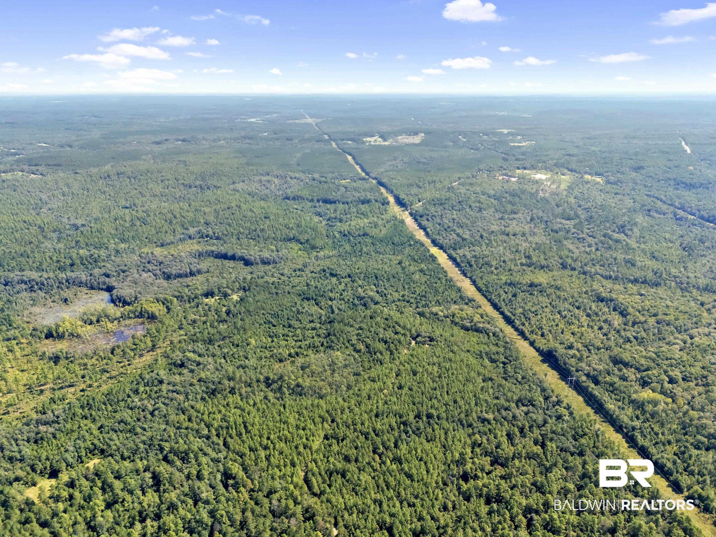 0 Arden Road Chunchula, AL 36521 - Photo 9 of 18 Drone / aerial view of a forest