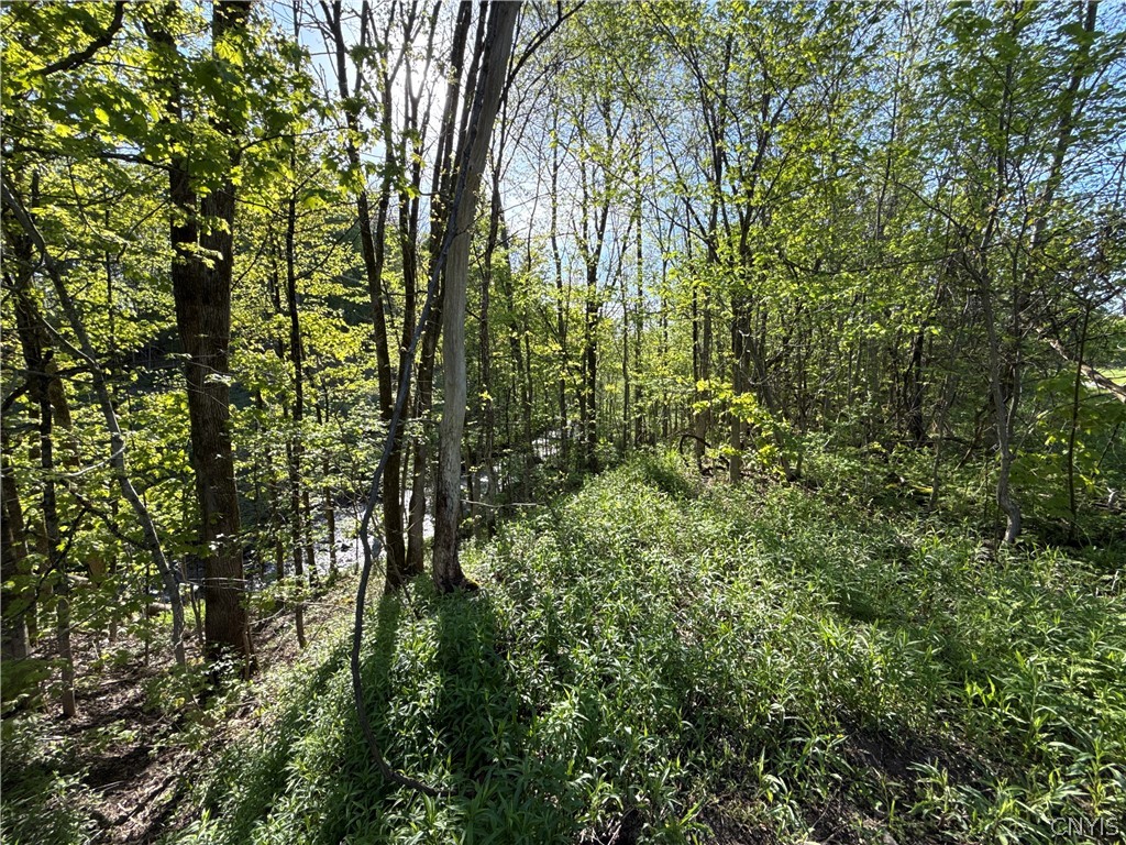 241 Jerry Look Road Orwell, NY 13144 - Photo 37 of 42 Gallery Image 37