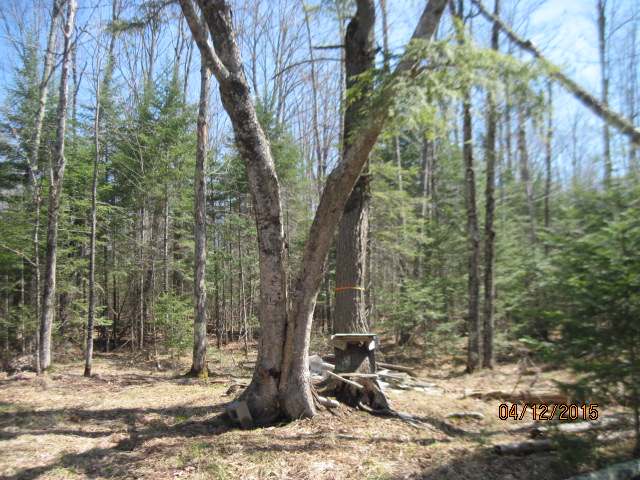 On Orchard Road Butternut, WI 54514 - Photo 15 of 20 Gallery Image 15
