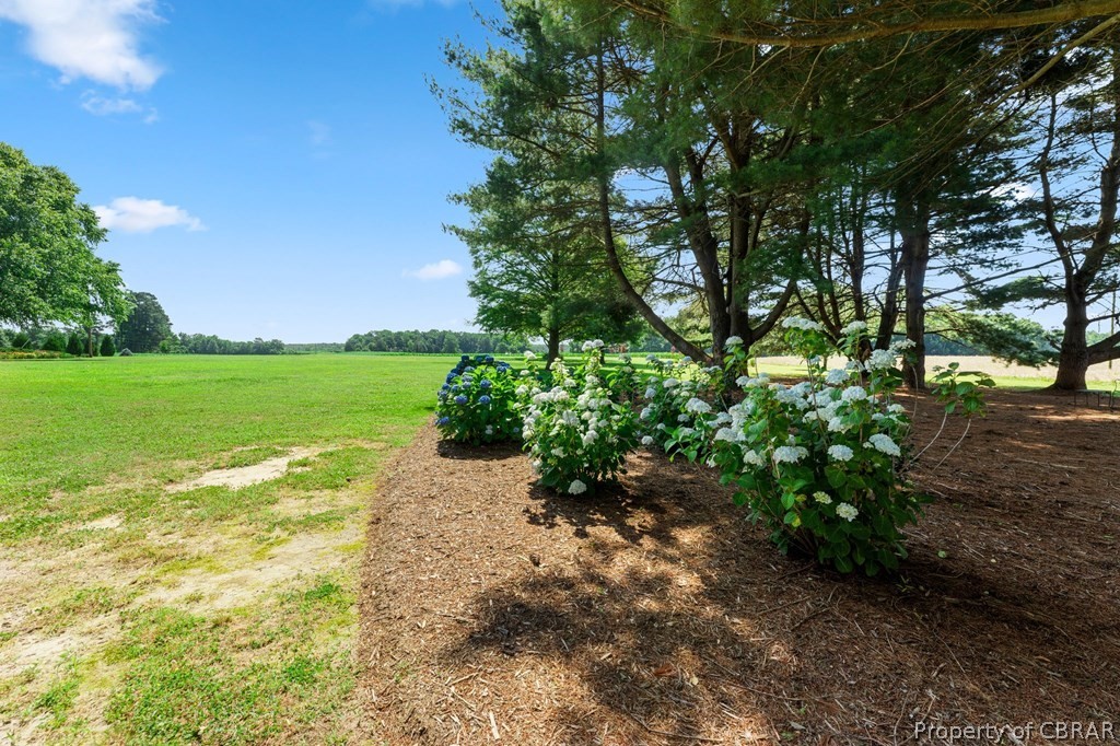 982 Owl Town Road Callao, VA 22435 - Photo 8 of 39