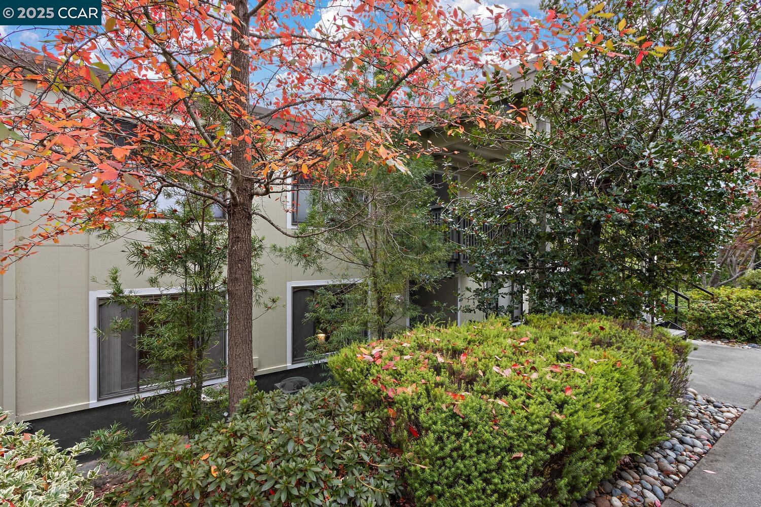 2709 Golden Rain Road, Unit 6 Walnut Creek, CA 94595 - Photo 24 of 46 a view of a yard with plants and large trees