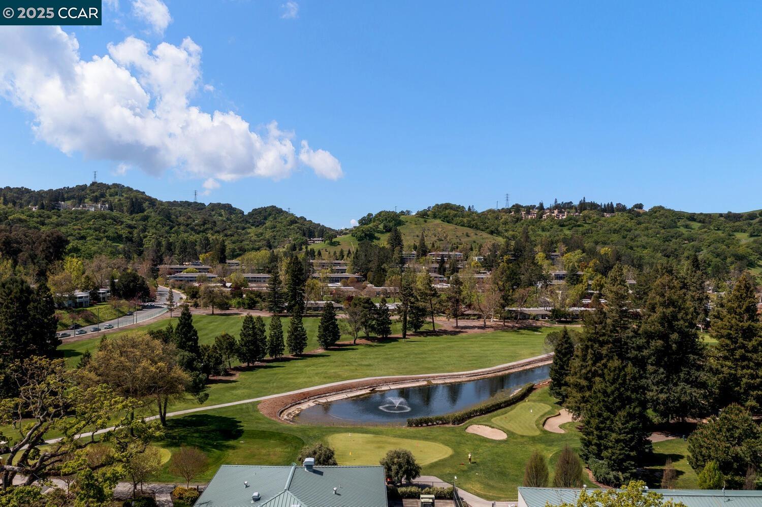 2709 Golden Rain Road, Unit 6 Walnut Creek, CA 94595 - Photo 35 of 46 a view of a swimming pool with a yard and large trees