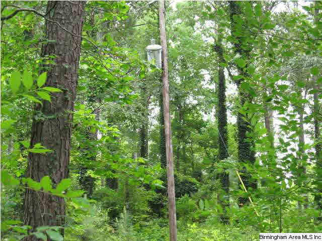 0 Rockcrusher Road, Unit 10 AC Steele, AL 35987 - Photo 4 of 8