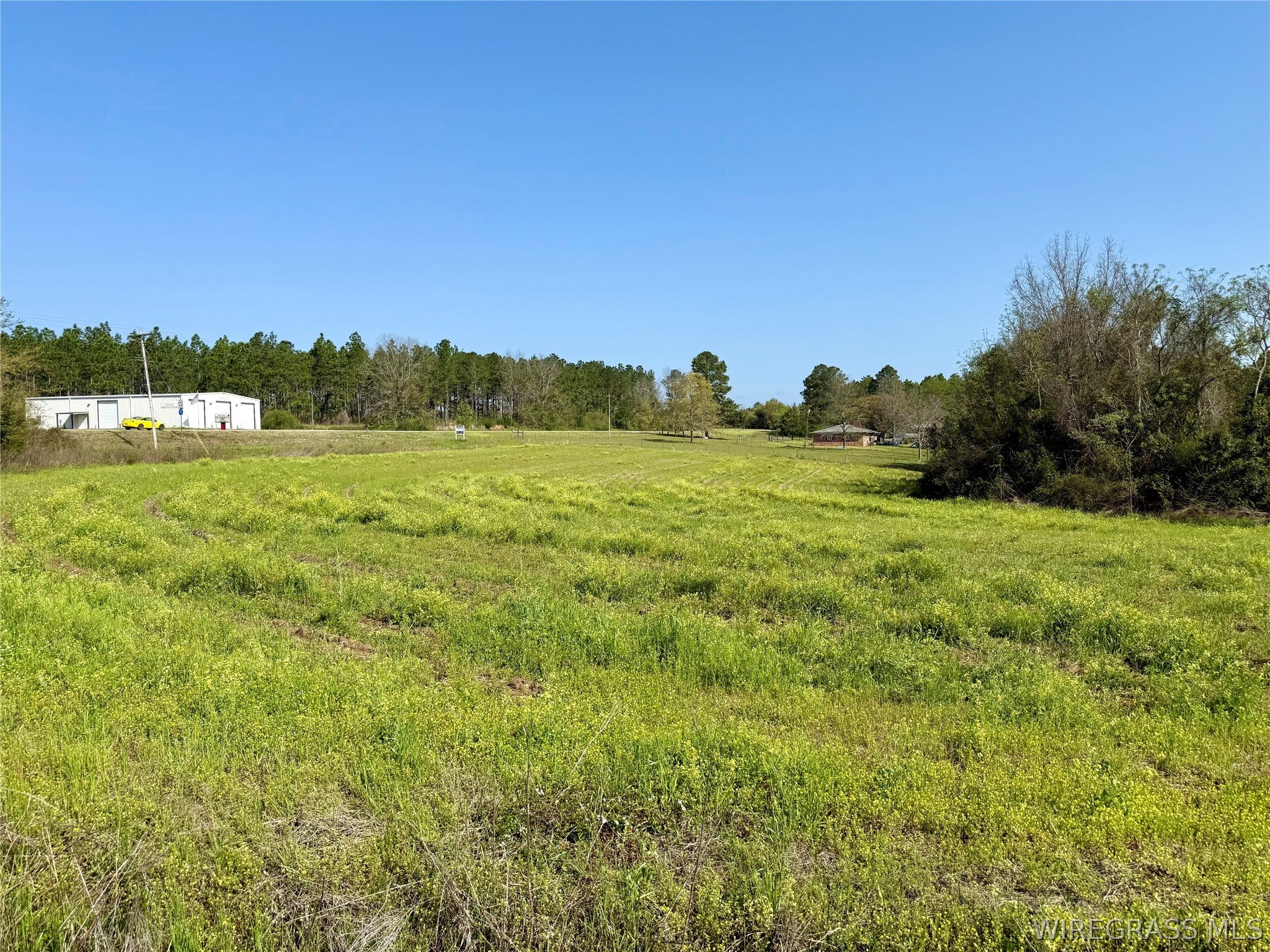 3-acres Red Oak Road Florala, AL 36442 - Photo 2 of 8 Gallery Image 2