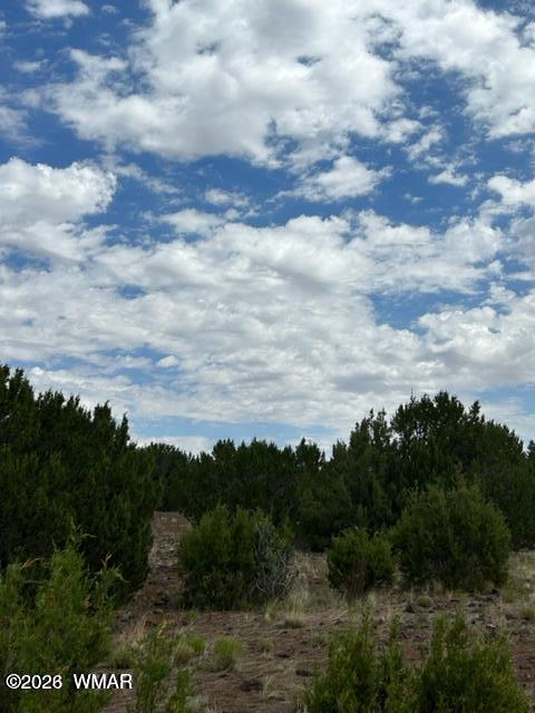 N3109 Rd Vernon Az 85940 Road Vernon, AZ 85940 - Photo 11 of 17