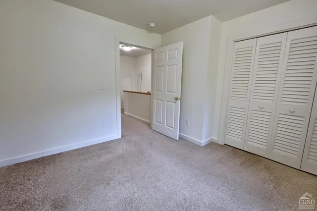 a view of a garden with plants