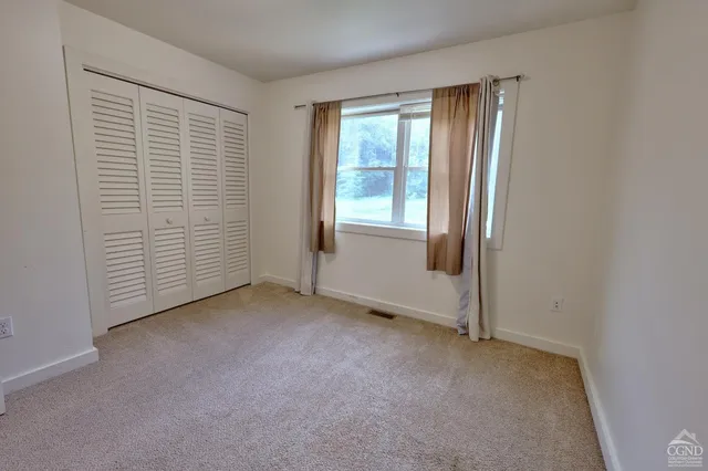 a view of a garden with plants