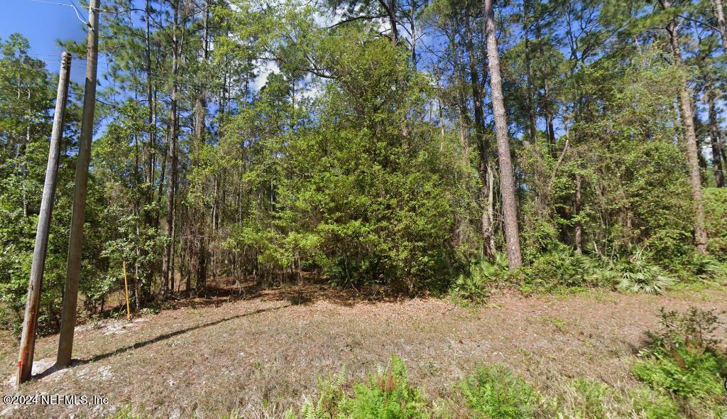 200 Marie Avenue Georgetown, FL 32139 - Photo 1 of 4 Exterior