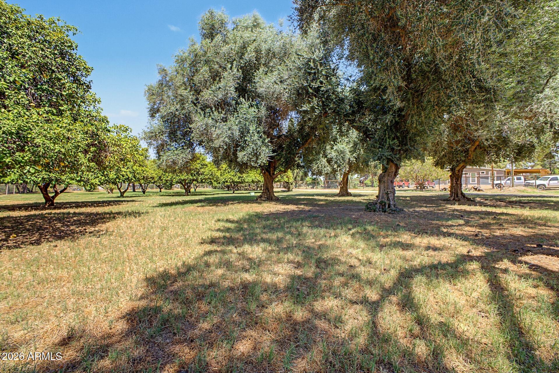 43455 North Jackrabbit Road San Tan Valley, AZ 85140 - Photo 17 of 35
