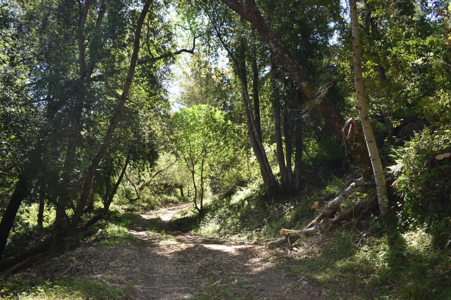 -croy Rd Croy Road Morgan Hill, CA 95037 - Photo 3 of 13 Gallery Image 3