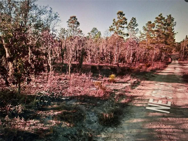 $25,000 | 3381 Northeast 97th Court, Bronson, FL 32621