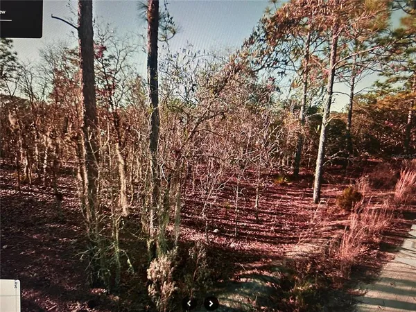 $25,000 | 3381 Northeast 97th Court, Bronson, FL 32621