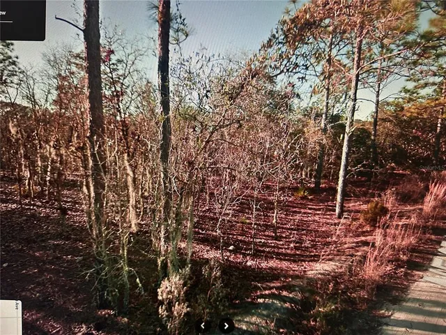 $25,000 | 3381 Northeast 97th Court, Bronson, FL 32621