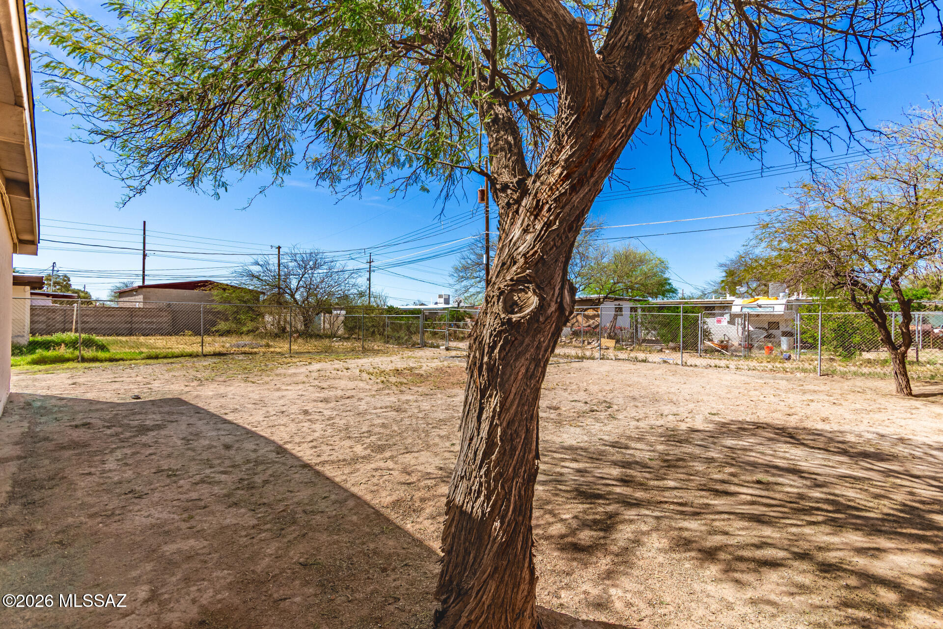 17 East Los Reales Road Tucson, AZ 85756 - Photo 27 of 27 a view of a yard with a tree