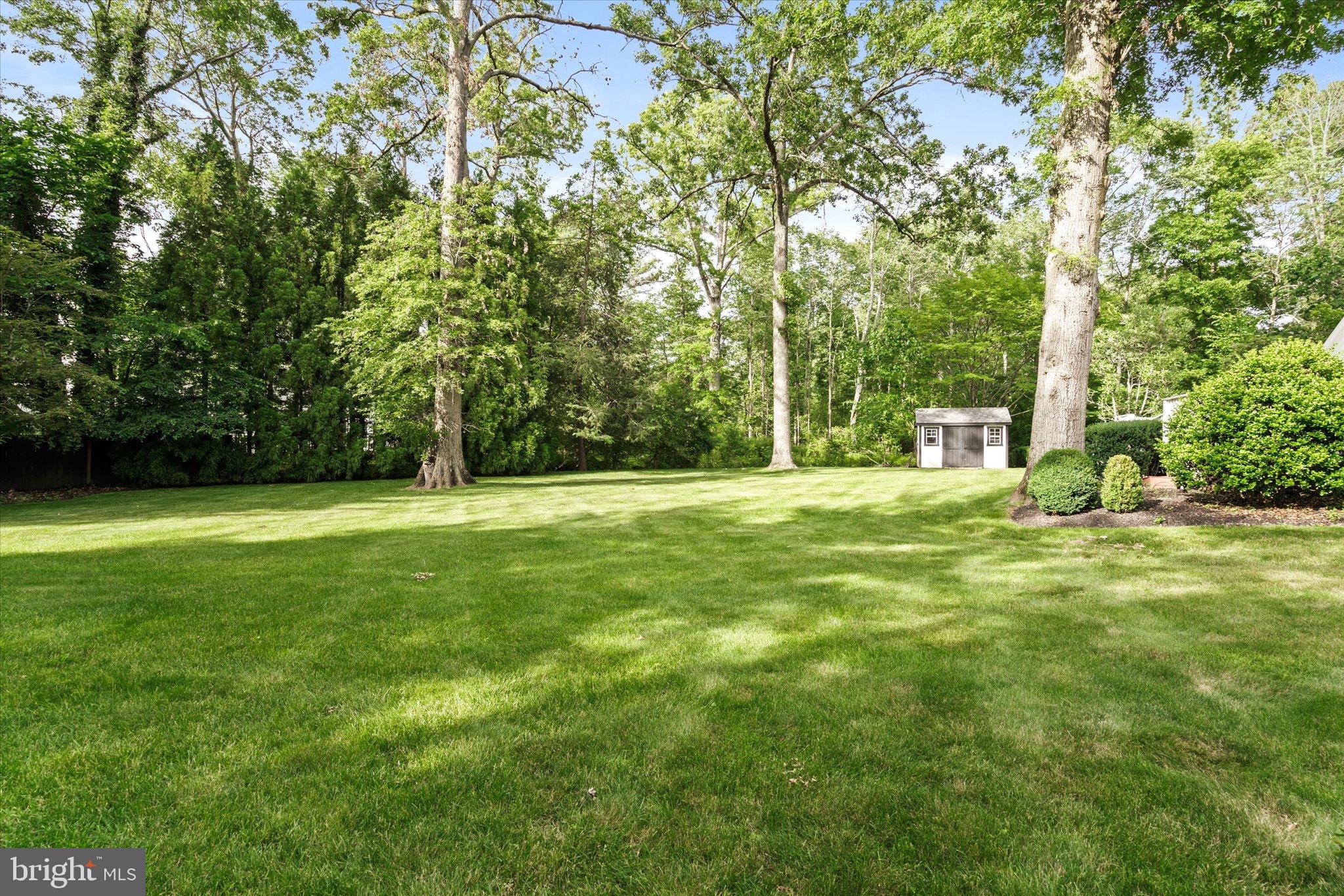 127 Westerly Road Princeton, NJ 08540 - Photo 54 of 56 a view of green field with trees in the background