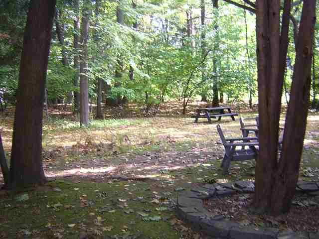 46 West Bayberry Road Bethlehem, NY 12077 - Photo 11 of 11 Photo 11