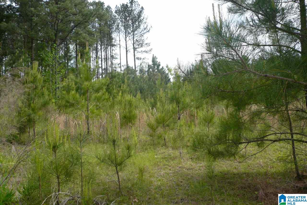 522 Woodbridge Trace, Unit 55 Chelsea, AL 35043 - Photo 7 of 22