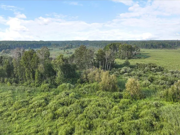 $80,000 | Tbd Bunny Hill Road, Sebeka, MN 56477