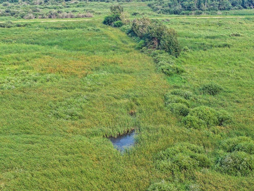 Tbd Bunny Hill Road Sebeka, MN 56477 - Photo 14 of 24