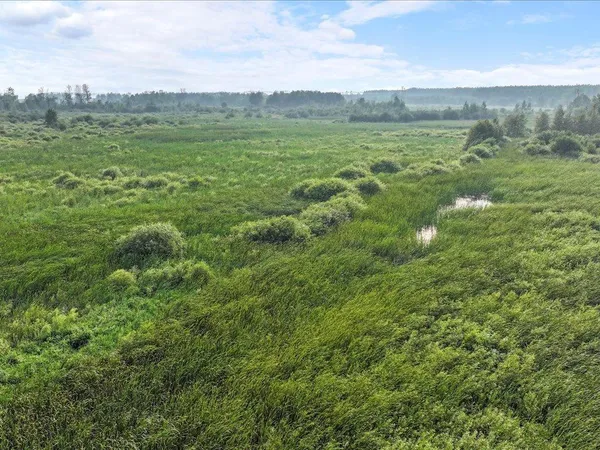 $80,000 | Tbd Bunny Hill Road, Sebeka, MN 56477