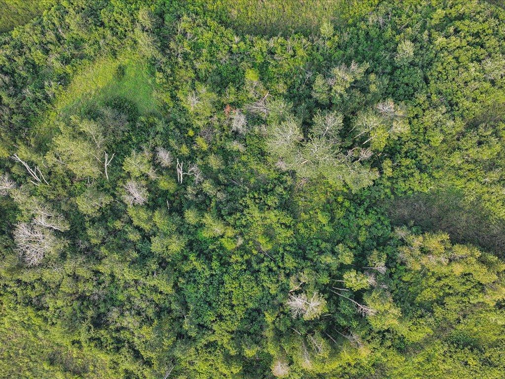 Tbd Bunny Hill Road Sebeka, MN 56477 - Photo 16 of 24