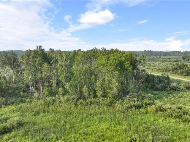 $80,000 | Tbd Bunny Hill Road, Sebeka, MN 56477