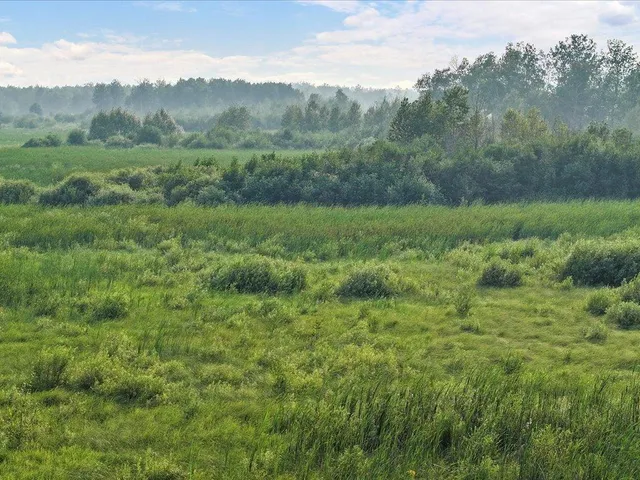 $80,000 | Tbd Bunny Hill Road, Sebeka, MN 56477