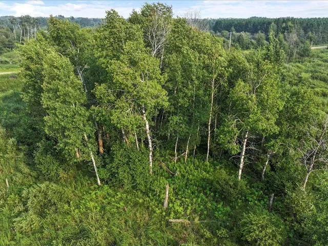 $80,000 | Tbd Bunny Hill Road, Sebeka, MN 56477